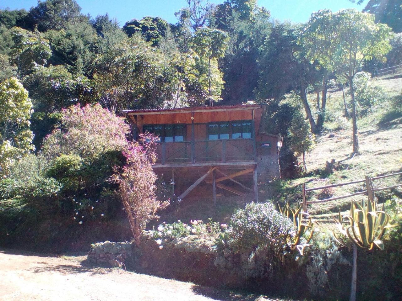Las Cataratas Lodge سان جيراردو دو دوتا المظهر الخارجي الصورة